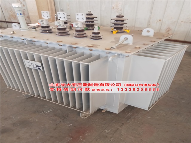 S13-800KVA丰满丰满丰满丰满油浸式变压器